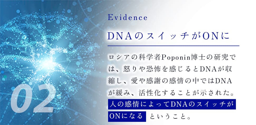 02 Evidence DNAのスイッチがONに ロシアの科学者Poponin博士の研究では、怒りや恐怖を感じるとDNAが収縮し、愛や感謝の感情の中ではDNAが緩み、活性化することが示された。人の感情によってDNAのスイッチがONになるということ。